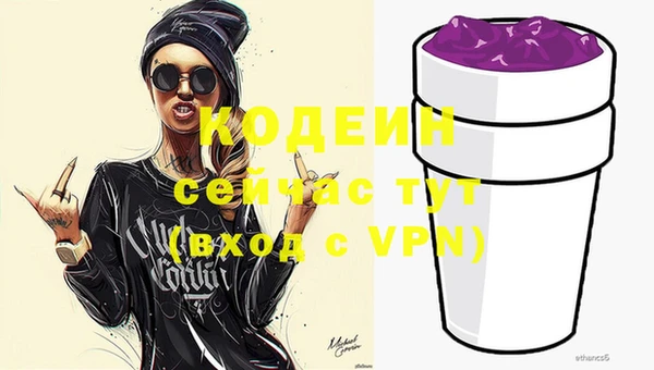 прущие грибы Бородино