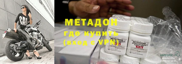 прущие грибы Богданович