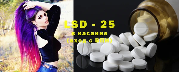 прущие грибы Богданович