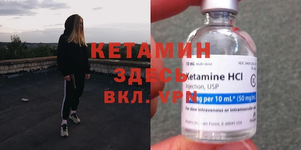 прущие грибы Бородино