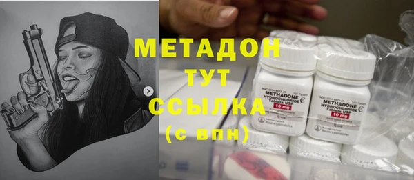 прущие грибы Бородино