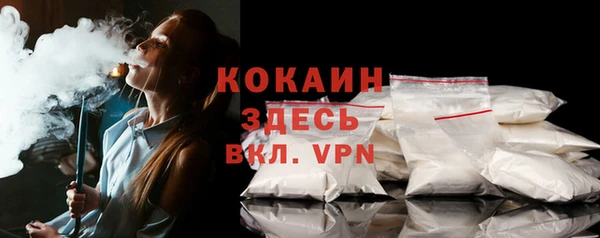 мяу мяу мука Горно-Алтайск