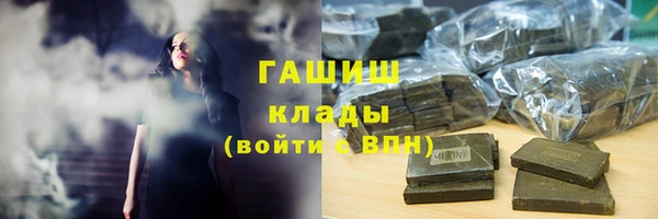 прущие грибы Бородино