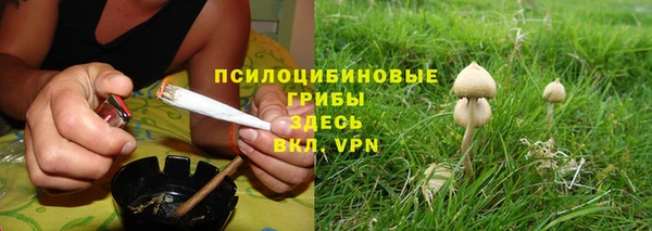 ешки Богородицк