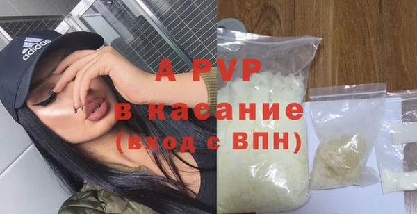 прущие грибы Богданович