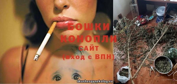 дурь Богородск