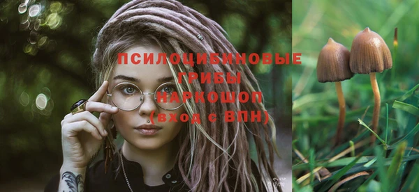 прущие грибы Богданович