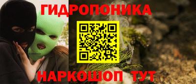 индика Ирбит