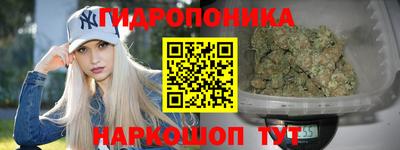 индика Ирбит