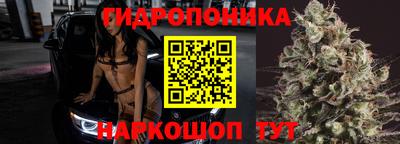 крисы Абакан