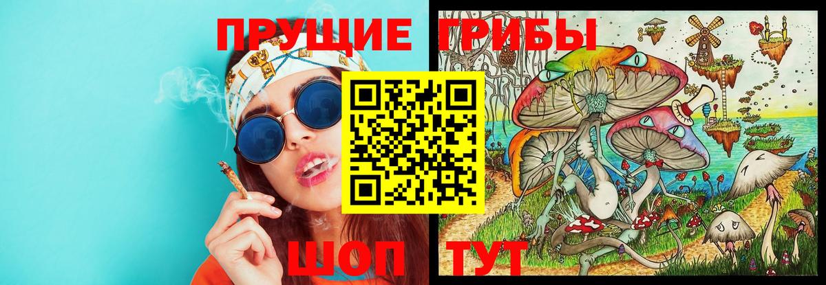 Галлюциногенные грибы MAGIC MUSHROOMS Дальнегорск