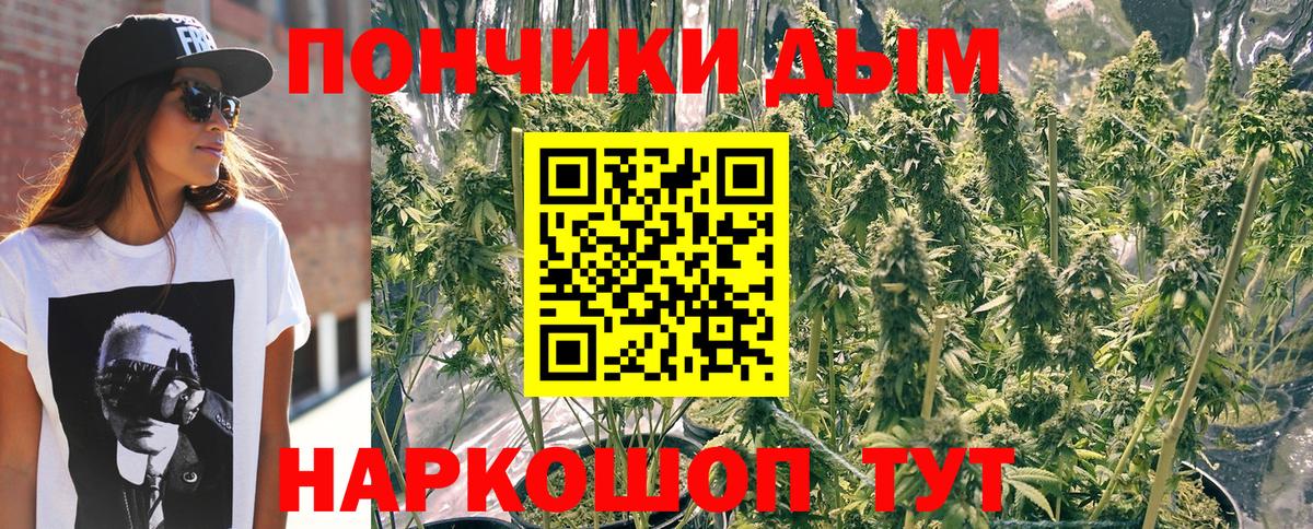 Бошки марихуана сатива  Шишки марихуана OG Kush  Дальнегорск  Бошки марихуана семена  Каннабис LSD WEED 